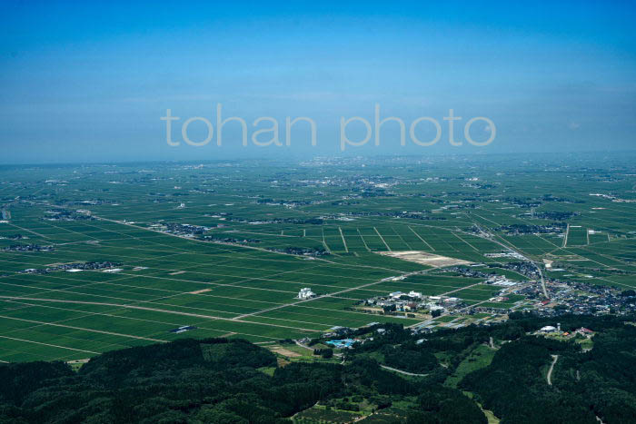 庄内平野(楯山公園地区周辺より酒田方面)(2023728)