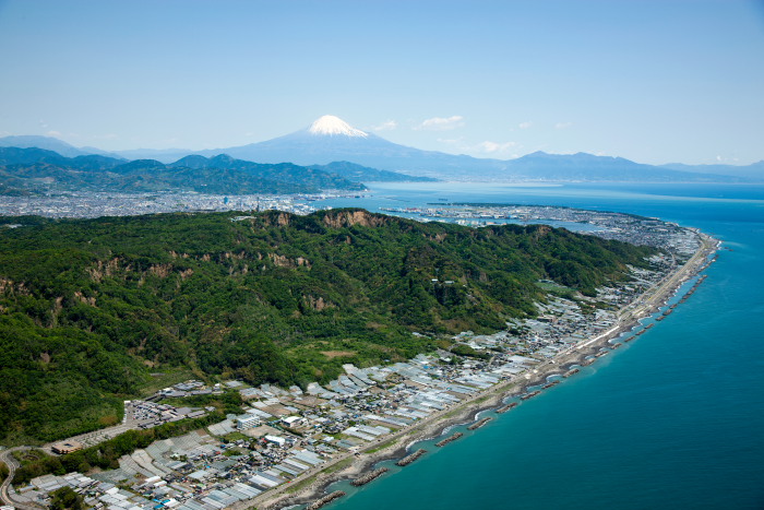 静岡県(日本平)