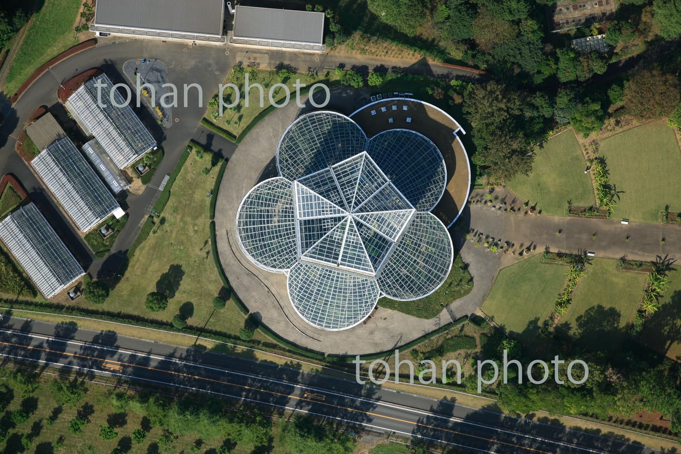 茨城県植物園、熱帯植物館