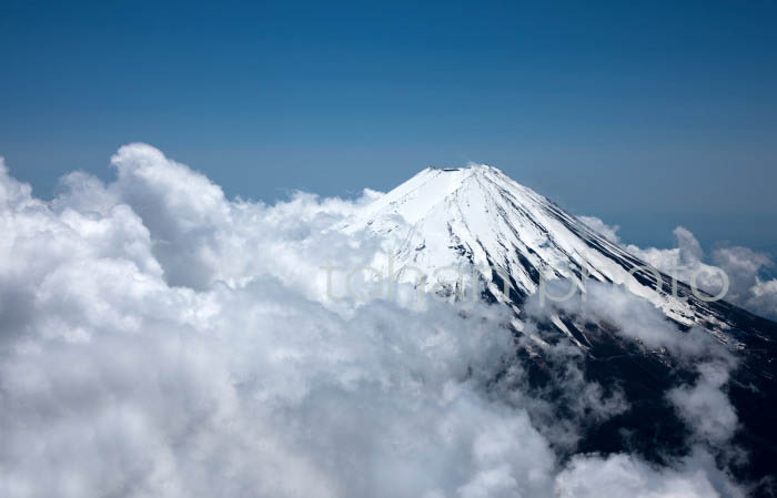 雲海と富士山(山梨県南都留郡)201305