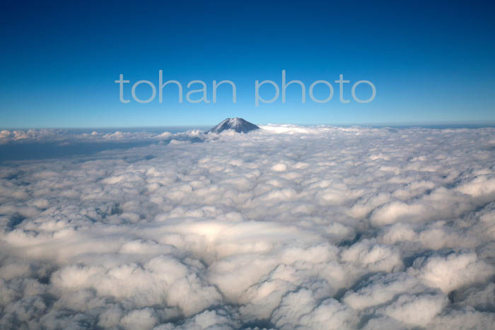 富士山と雲海(静岡県静岡市)201410 (1)