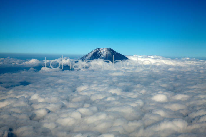 富士山と雲海(静岡県静岡市)201410