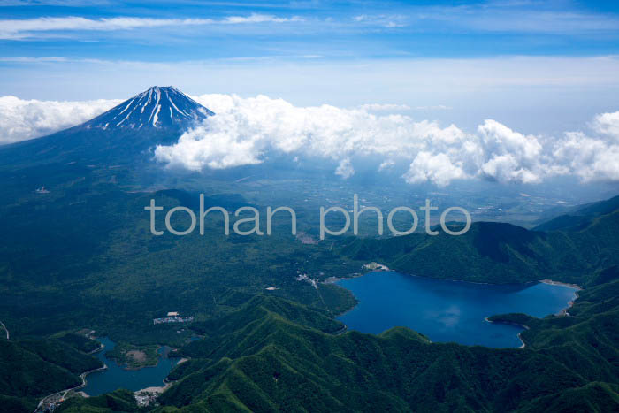 本栖湖,精進湖より富士山(山梨県南都留郡富士河口湖町)201505