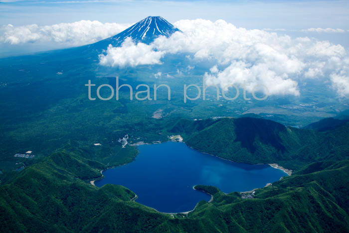 本栖湖,精進湖より富士山(山梨県南都留郡富士河口湖町)201505