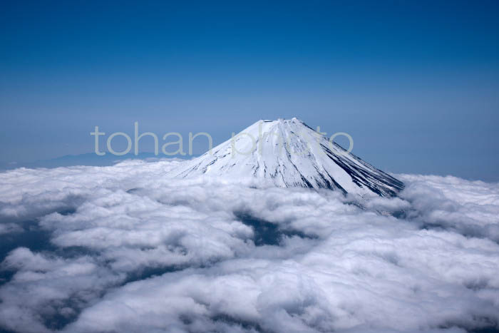 富士山と雲海(山梨県南都留郡)201804