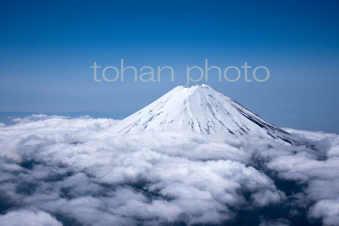 富士山と雲海(山梨県南都留郡)201804