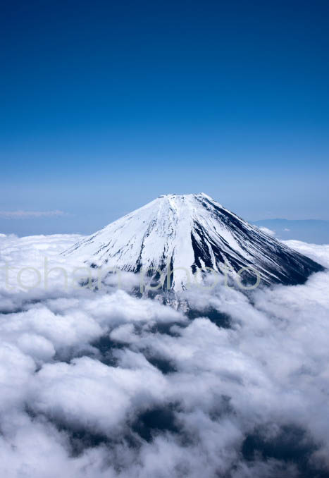 富士山と雲海(静岡県富士宮市)201804