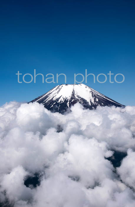 富士山と雲海(山梨県南都留郡)201804