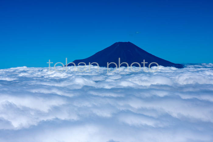 雲海と富士山(山梨県南都留郡)201909