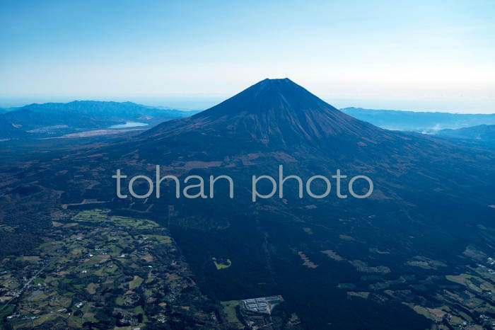 青木ヶ原樹海と富士山(山梨県南都留郡)202011