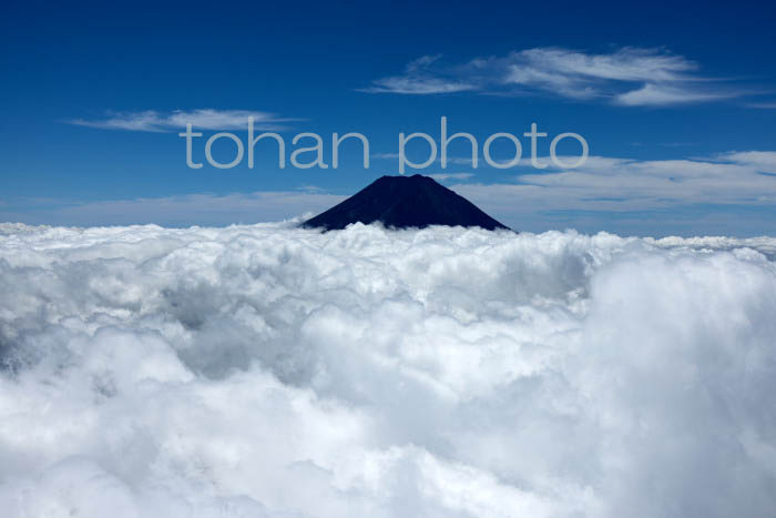 雲海と富士山(山梨県南都留郡)202208