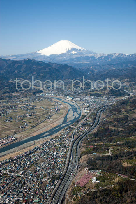 松田山の早咲きの河津桜周辺9l富士山 (神奈川県足柄上郡松田町)201403