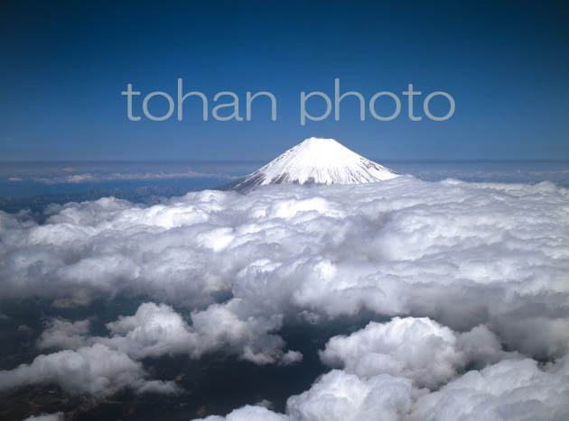 雲海と富士山(静岡県富士宮市)199801