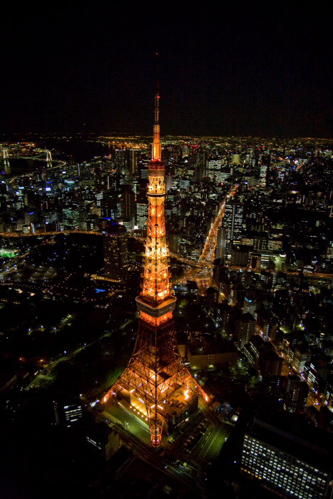 夜の東京タワー(東京都港区)