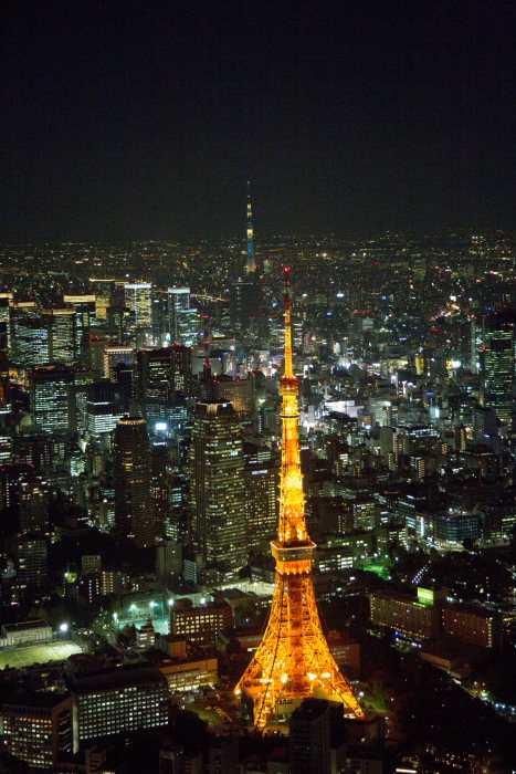 夜の東京タワー(東京都港区)