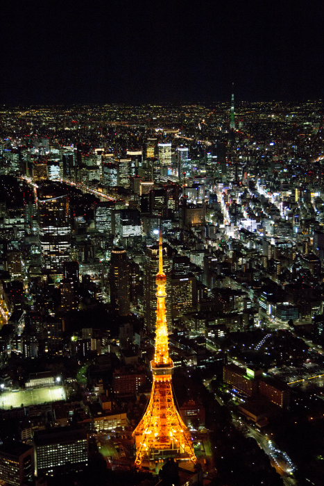 夜の東京タワー(東京都港区)