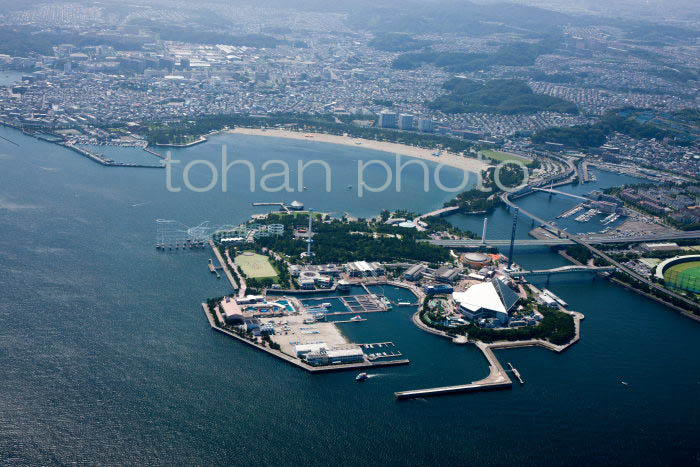 八景島シーパラダイス,海の公園-(2013,07)