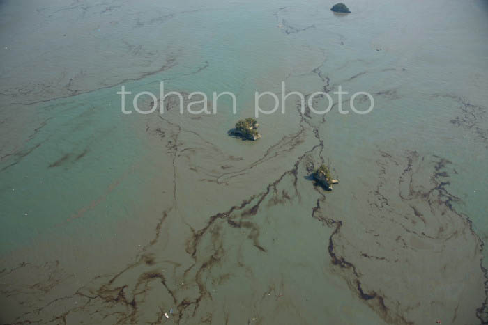 東日本大震災油に汚染された松島湾(宮城県)20110311 (2)