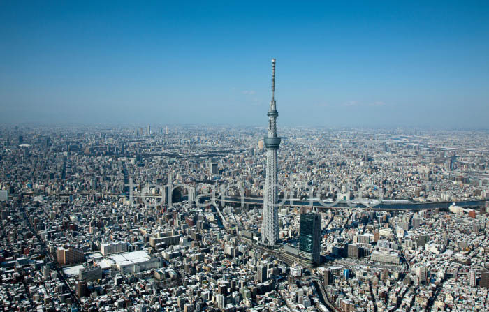 雪景色の東京スカイツリー-20130115