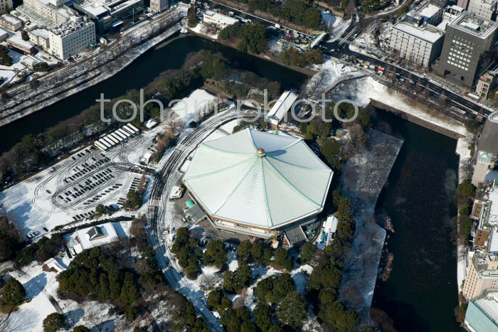 雪景色の日本武道館(北の丸公園）-20130115