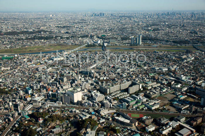 川崎武蔵溝の口より東京方面(2011,11)