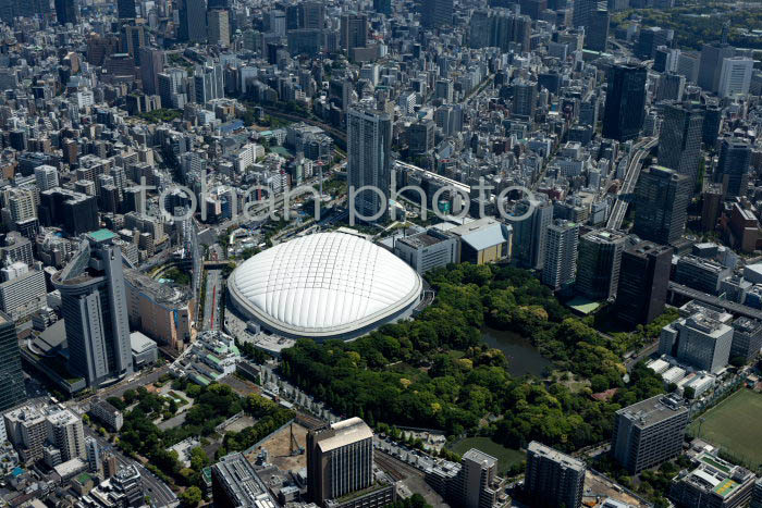 小石川後楽園と東京ドーム(2023,05)