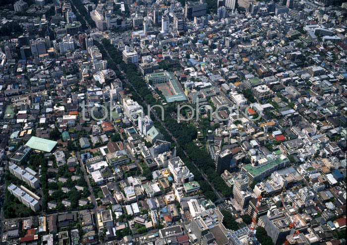 表参道より原宿駅(1997)