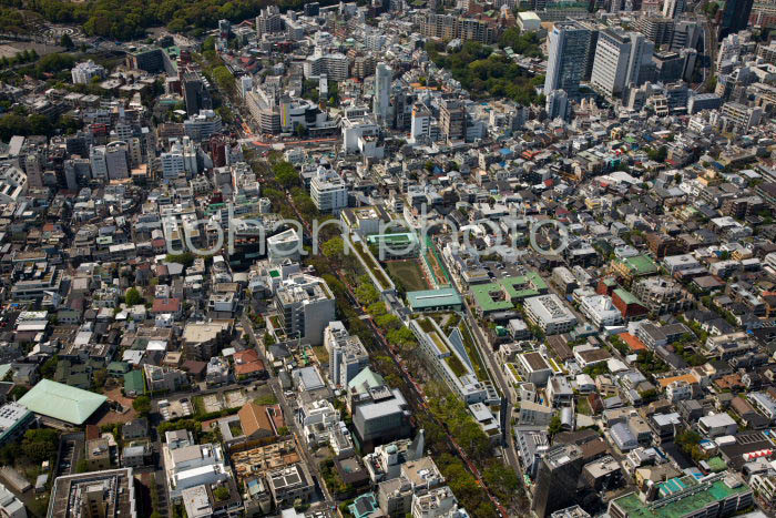 表参道より原宿駅(2010,05)