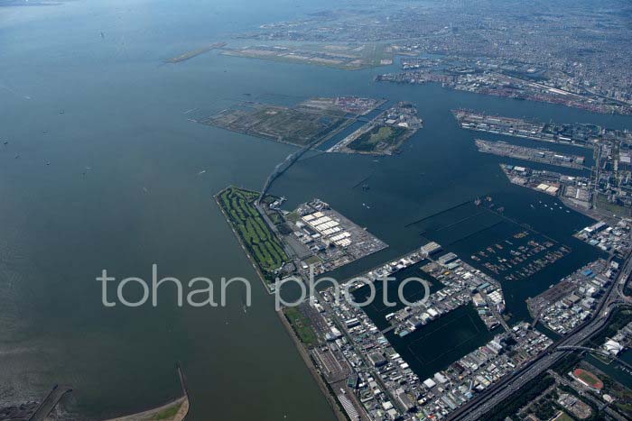 東京湾埋立地(2021,10)