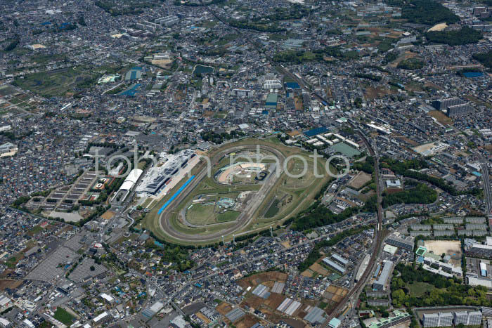 中山競馬場周辺(202453)