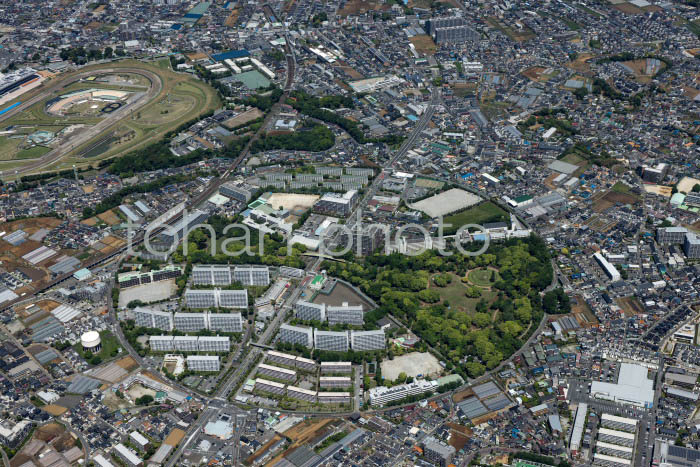 円形の道路で囲まれている行田公園,ＵＲ都市再生機構行田団地周辺(202453)