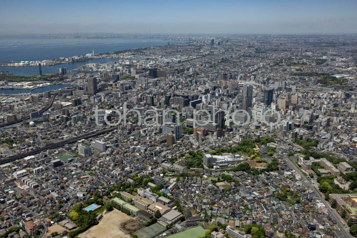 千葉市の街並み(亥鼻公園周辺より千葉駅方面)(202453)