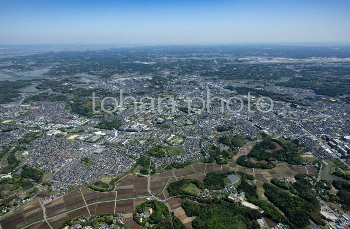 成田ニュータウン周辺より成田国際空港(202453)