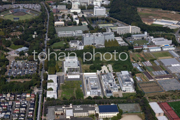 東京大学柏Ⅱキャンパス,東京大学情報基盤センター周辺(20241013)