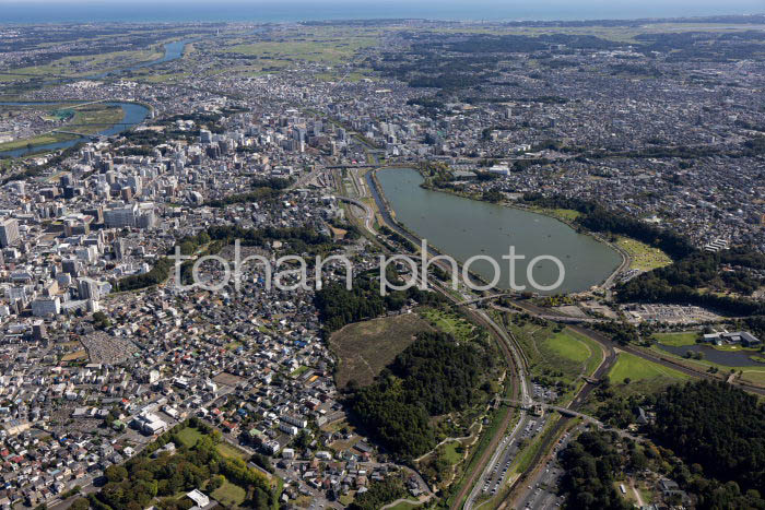千波湖,偕楽園周辺より水戸駅と水戸の街並み(20241013)
