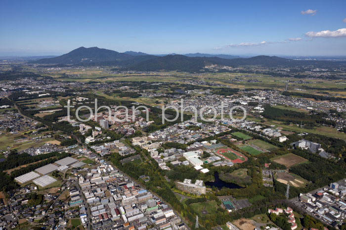 筑波大学施設全景より筑波山(20241013)a