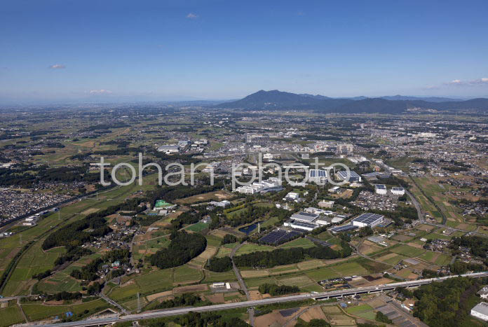 科学万博記念公園より筑波山(20241013)