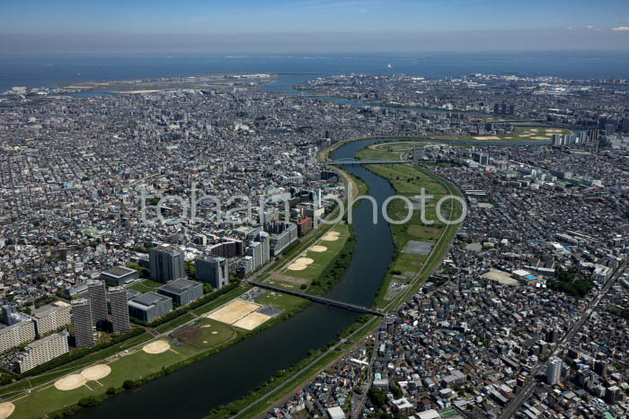 川崎ガス橋付近より多摩川河口方面(202453)