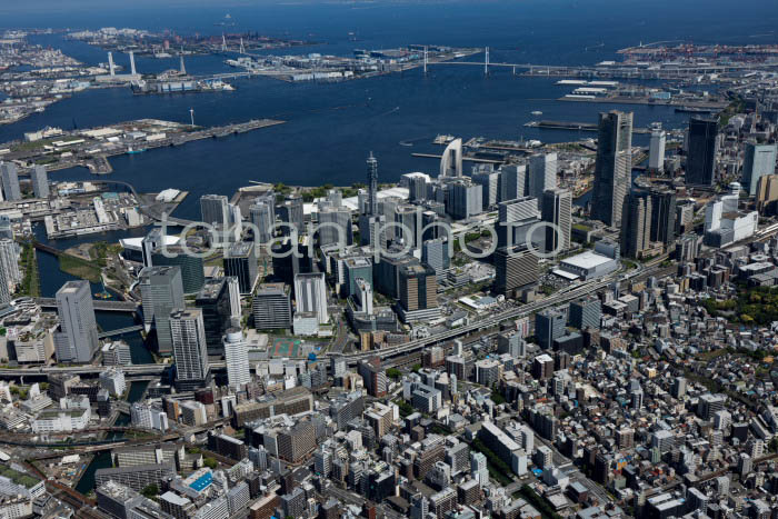 みなとみらい地区より横浜港(202453)