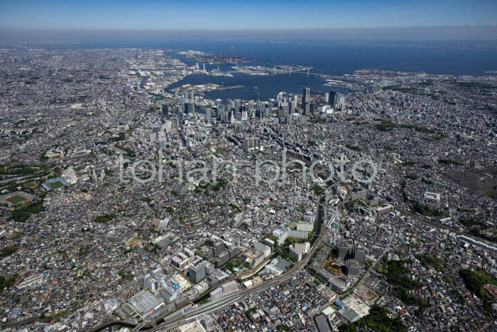 星川駅,天王町駅周辺より横浜駅と横浜港(202453)