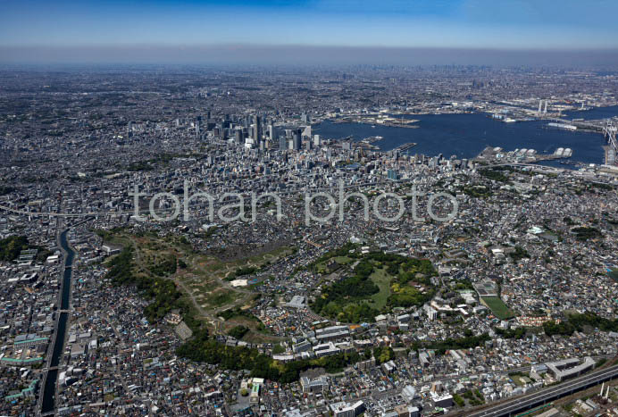 横浜の街並み(根岸森林公園より横浜港)