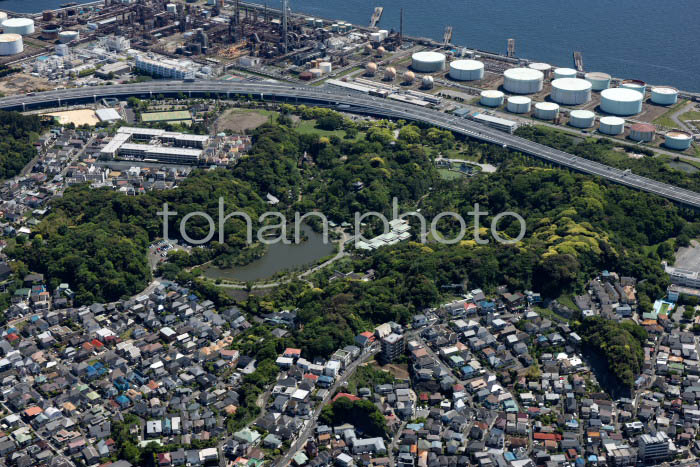 三溪園周辺(202453)