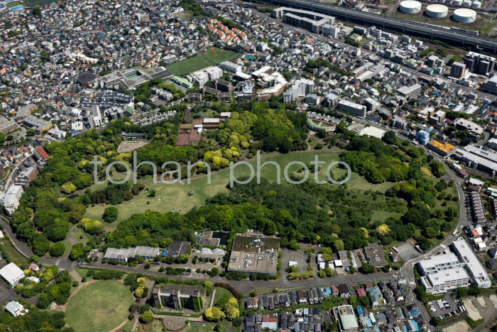 根岸森林公園周辺(202453)