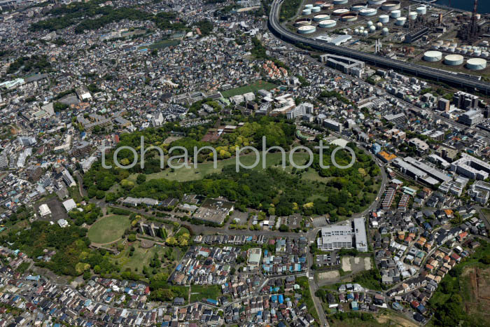 根岸森林公園周辺(202453)