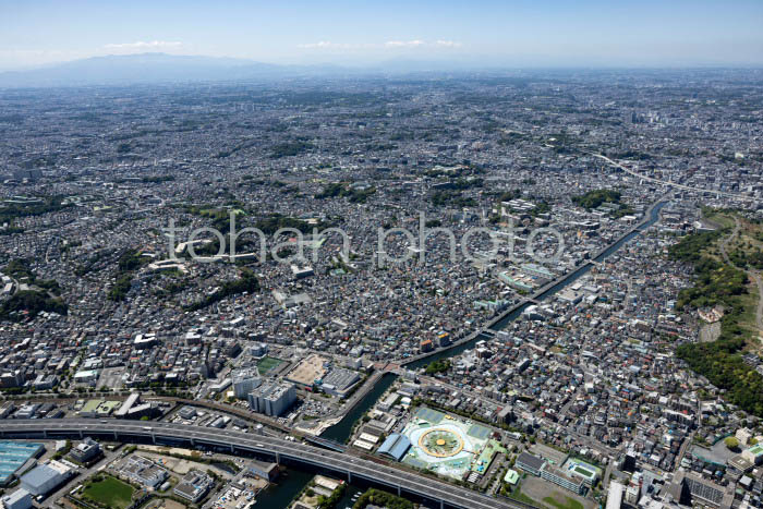 横浜の街並み(根岸地区より南区,保土ヶ谷区方面)(202453)
