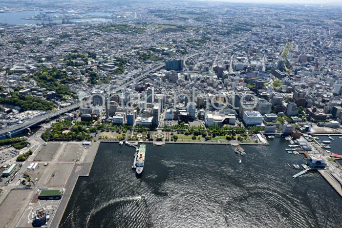 横浜港より山下公園周辺(202453)