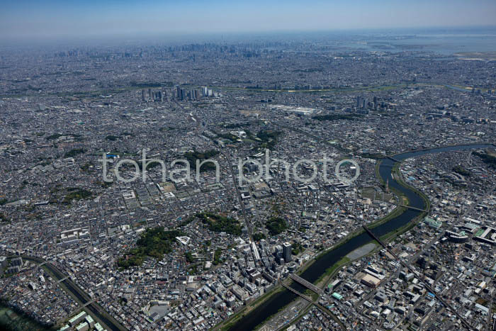 綱島駅周辺より横浜,川崎,東京の街並み(202454)