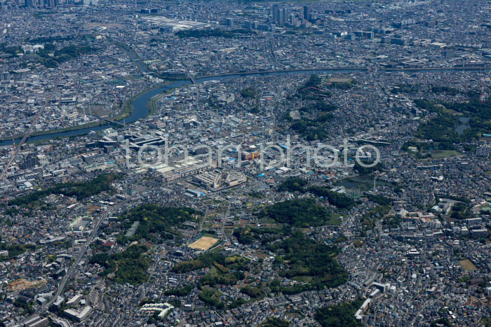 トレッサ横浜,獅子ケ谷市民の森周辺(202454)