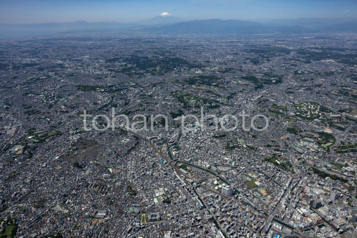 保土ヶ谷周辺より横浜の街並みと富士山(202454)