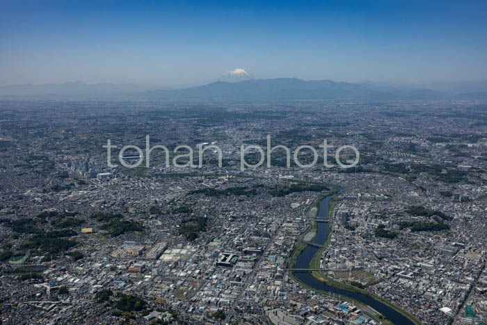大倉山,菊名駅周辺より富士山(202454)